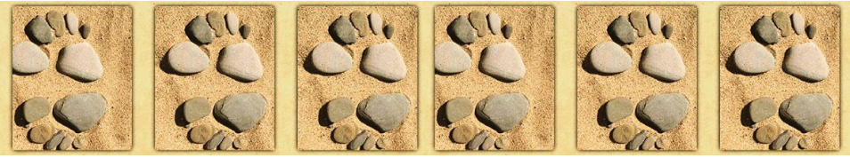 Спонсорство МОИ СЛЕДЫ.png